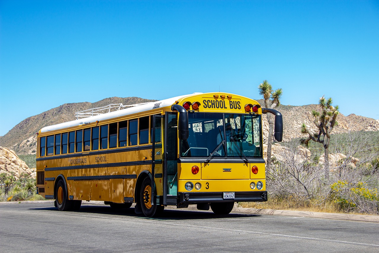 Sustainability in Schools - What's the Role?
